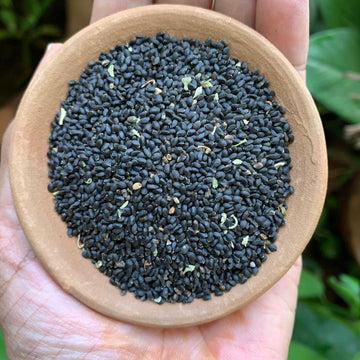 Heirloom Basil Plant Seeds – Organic Variety for Kitchen & Herbal Gardens