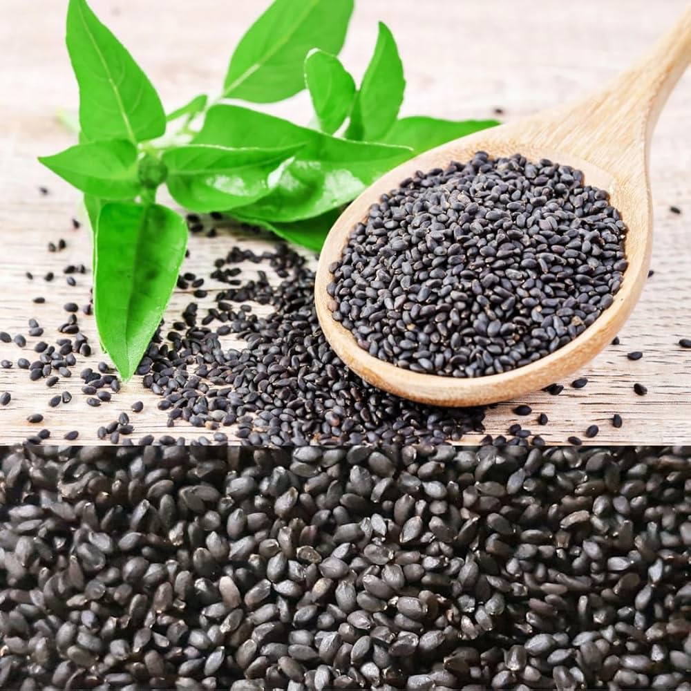 Sweet Basil Herb Seeds – Organic Variety for Home and Terrace Growing