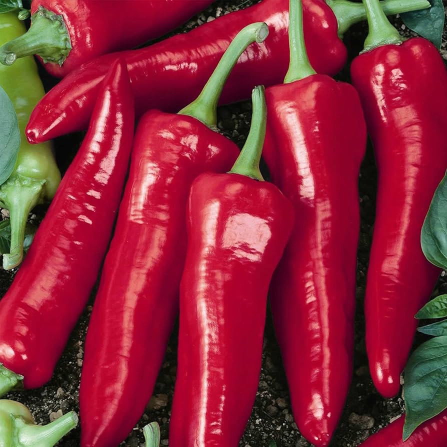 Big Jim Pepper seeds for home garden planting