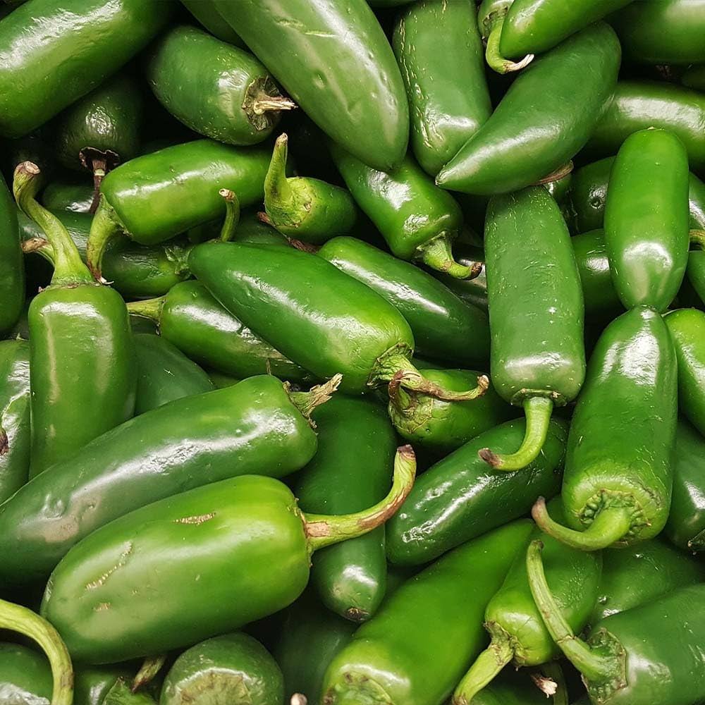 Bio-certified chili pepper seeds for organic gardening