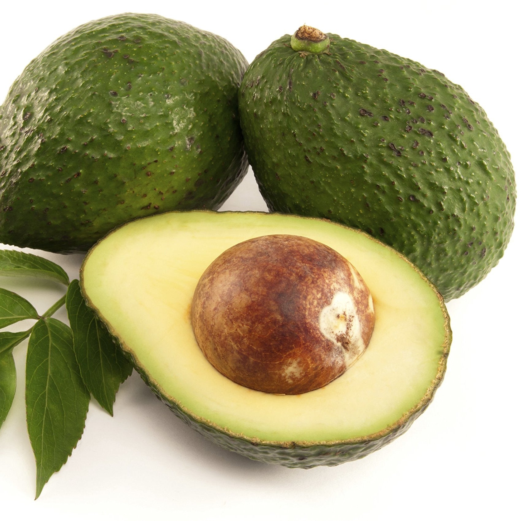 Avocado Seeds – Organic Non-GMO Superfood Fruit Tree for Home Gardens