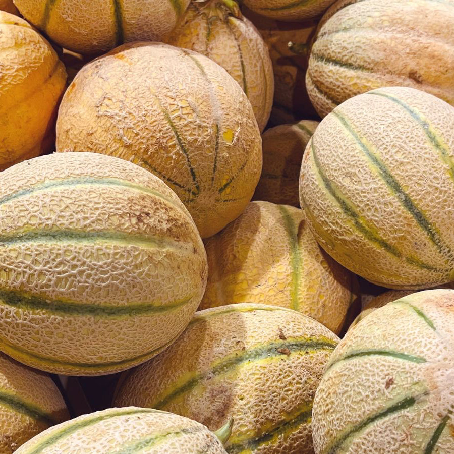 Cantaloupe Seeds – Organic Non-GMO Sweet Summer Fruit for Home Gardens