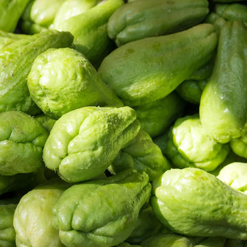 Chayote Seeds – Organic Non-GMO Tropical Vine Vegetable for Home Gardens