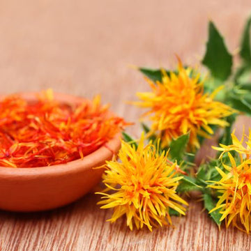 Safflower Seeds – Organic Non-GMO Medicinal and Ornamental Plant