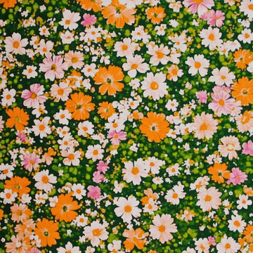 Mix Leptosiphon Flower seeds for Planting - Low Maintenance, Heirloom & GMO Free Seeds for Home Garden