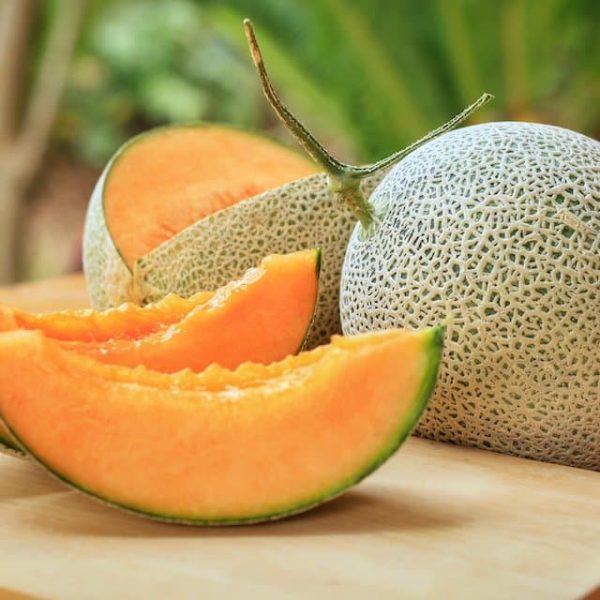 Orange Hami Melon Seeds for Easy Planting