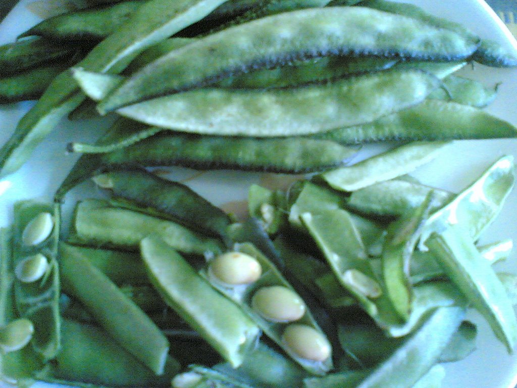 Grow Delicious Lima Beans | Easy Planting Seeds for Your Garden