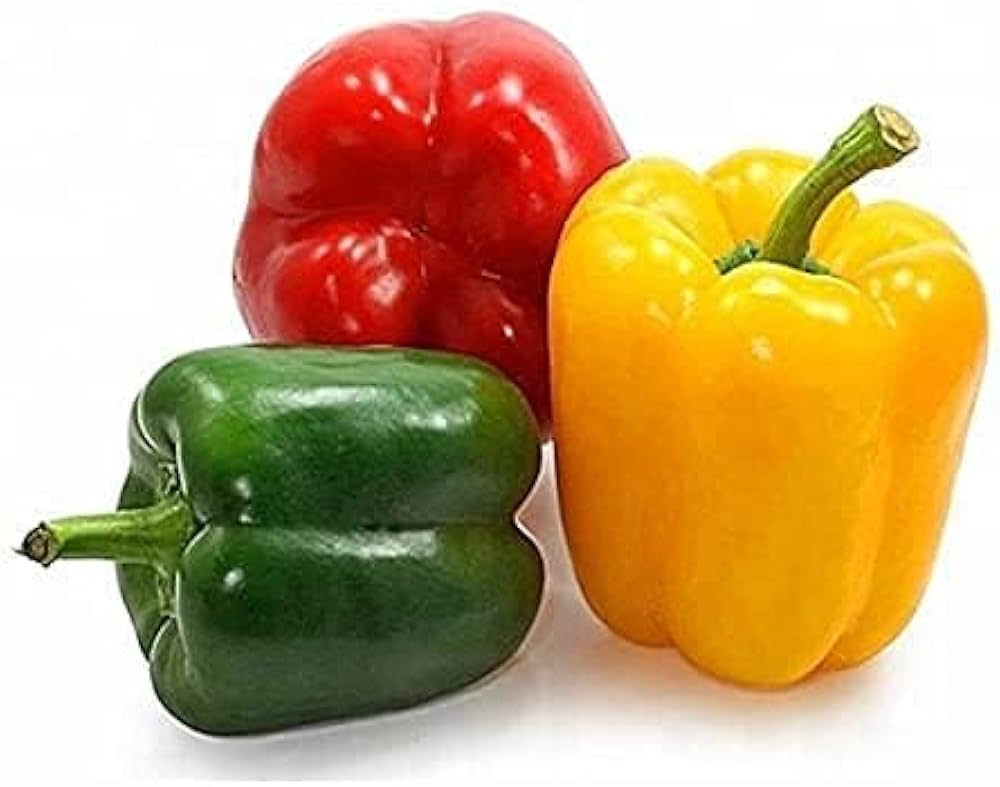 Chili Pie Bell Pepper plants growing in home vegetable garden