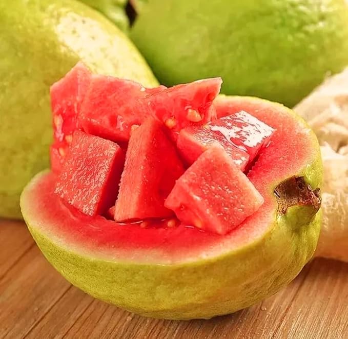 Guava plant growing in container on patio