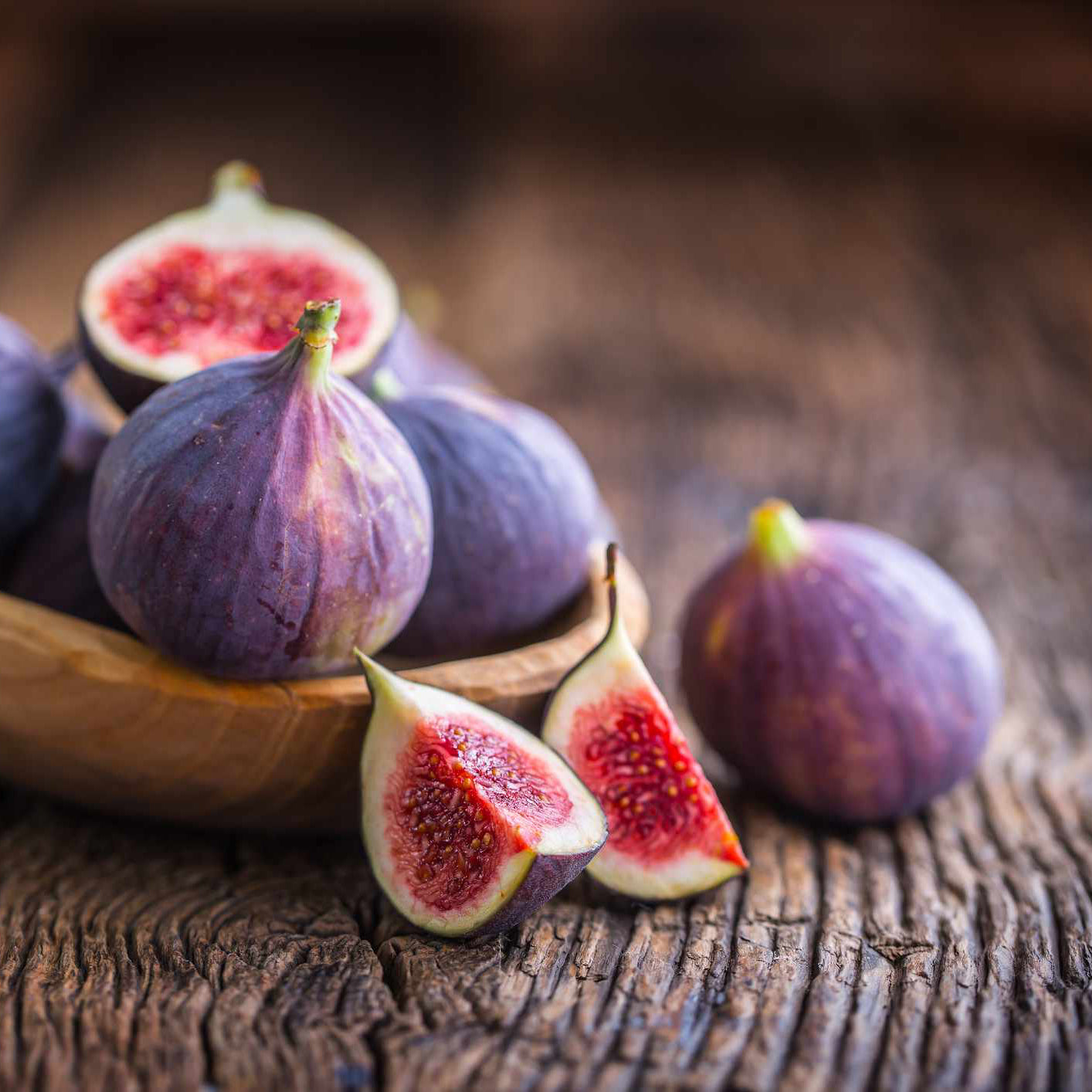 Organic Fig Plant Seeds – Lush Green Fruit Tree for Balcony & Pots