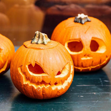 Pumpkin Seeds – Heirloom Fruiting Garden Vine Variety