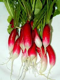 Rapid Yield Radish Seeds, Planting