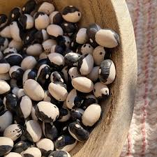 Black & White Troot Bean Vegetable Planting Seeds