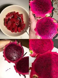 Pink Pitaya Seeds for Planting  Grow Your Own Delicious Dragon Fruit