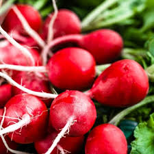 Cherry Belle Radish Planting Seeds