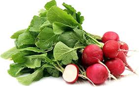Cherry Belle Radish Planting Seeds