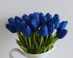 Deep Blue Tulip Flower Seeds for Planting – Heirloom NonGMO Organic Garden Seeds – Shade Tolerant High Germination  Sale