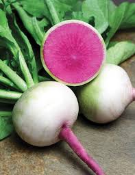 Watermelon Radish Vegetable Seeds for Planting