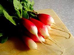 Rapid Yield Radish Seeds, Planting