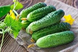 Cucumber Lyalyuk Little Mini Pickling Seeds - Ideal for Home Planting and Garden Growing