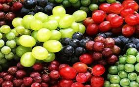Mixed Grape Fruit Planting Seeds - Diverse & Delicious Grapes for Your Garden