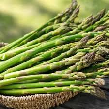 Green Wild Asparagus Seeds for Planting