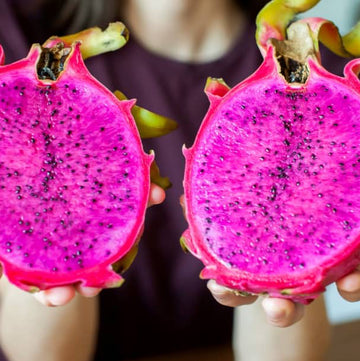 Dragon Fruit Seeds – Exotic Cactus Fruiting Garden Variety ( Pink )