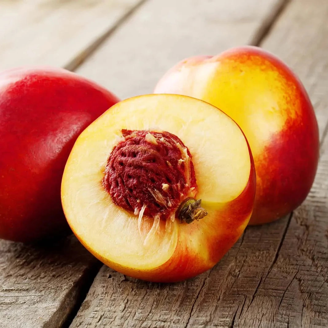 Heirloom Nectarine Seeds – Non-GMO Tropical Fruit Tree for Pots & Gardens