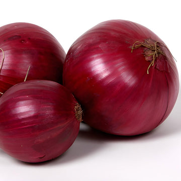 Buy Red Onion Seeds Online – Non-GMO Sweet and Flavorful Onions