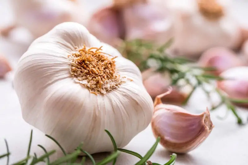 Nutritious Garlic Seeds for Growing Flavorful Vegetables, Premium Seeds seed packet for home gardening
