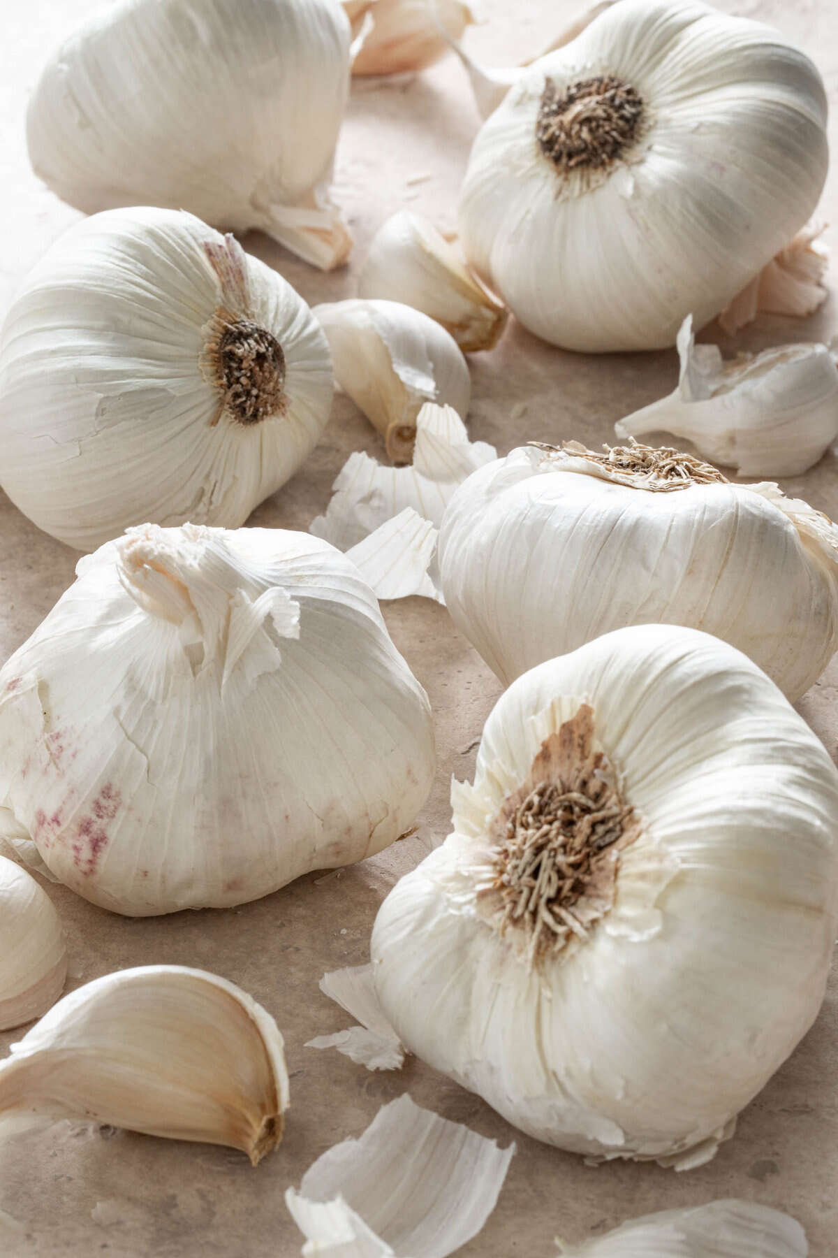 White Garlic Seeds - Perfect for Planting for Planting, Premium Seeds | Heirloom Non-GMO - Evergrowseeds