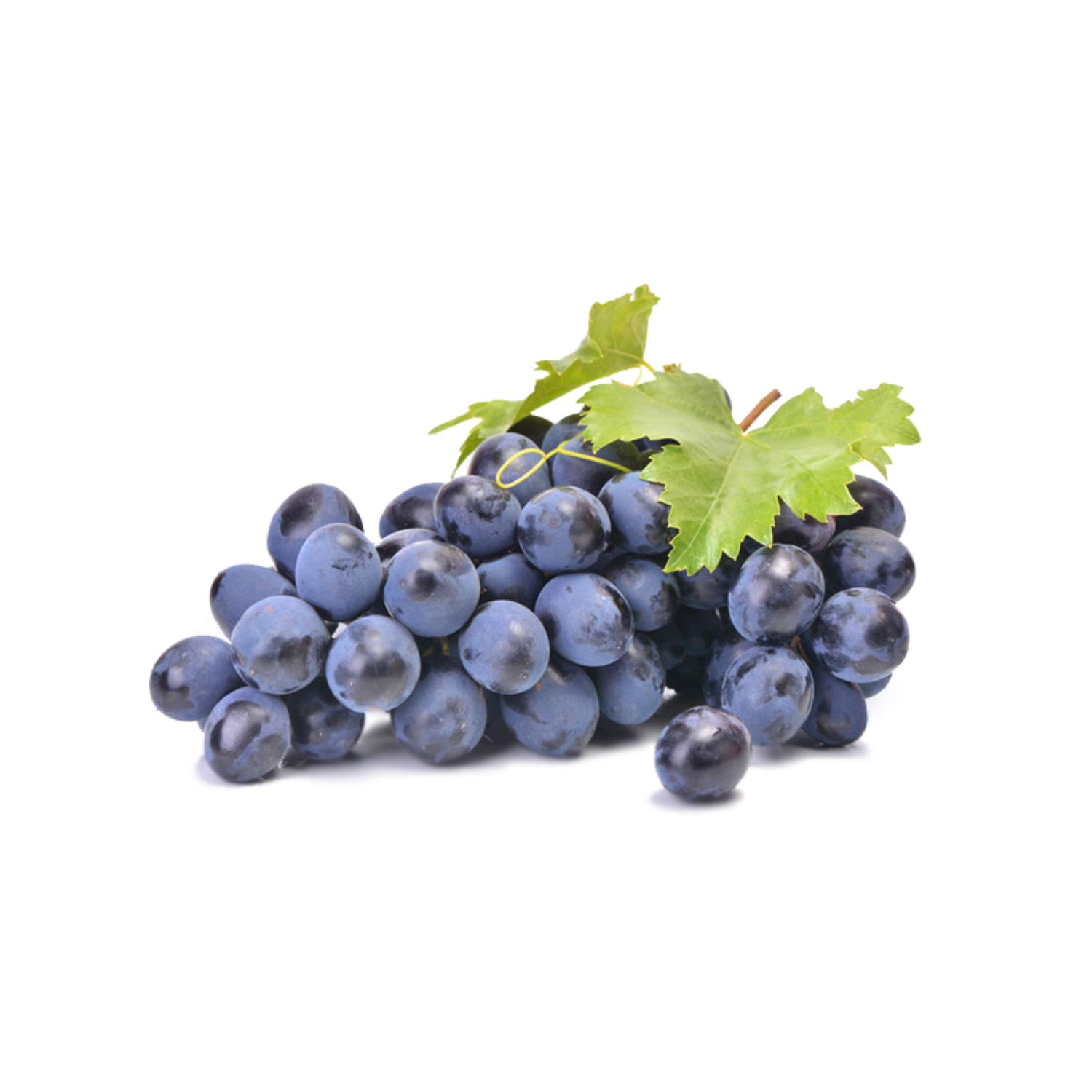 Organic Black Grape Plant Seeds – Sweet Fruit for Fresh Eating & Juices