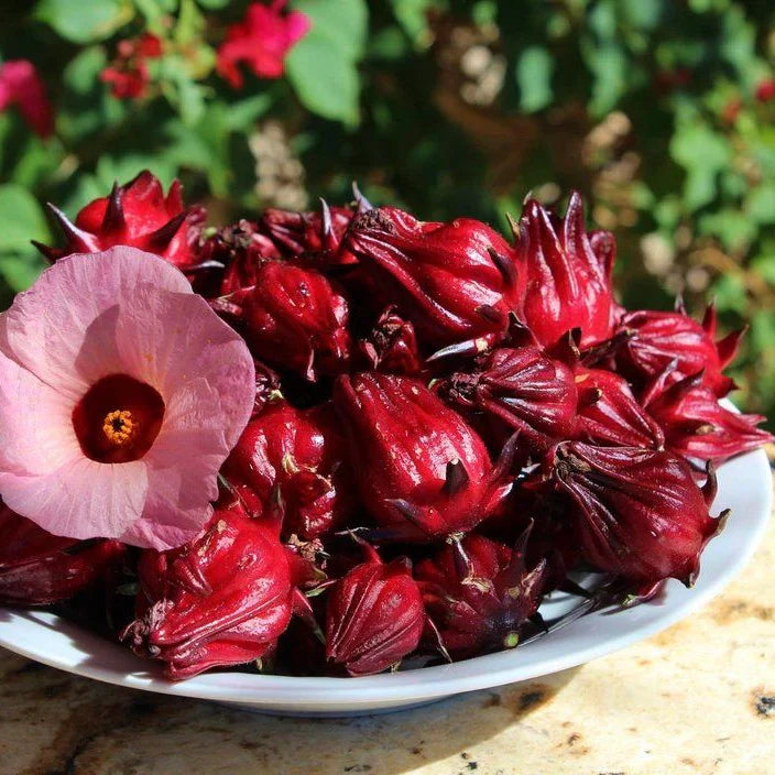 Heirloom Belchanda Tengamora seeds for planting