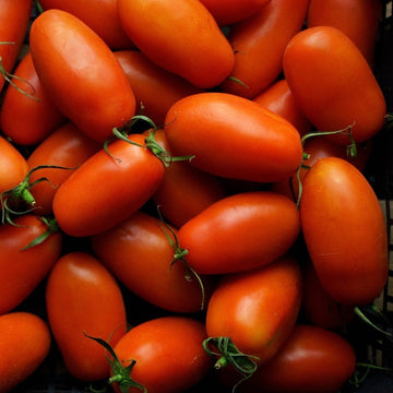 San Marzano Tomato Seeds – Heirloom Garden Variety