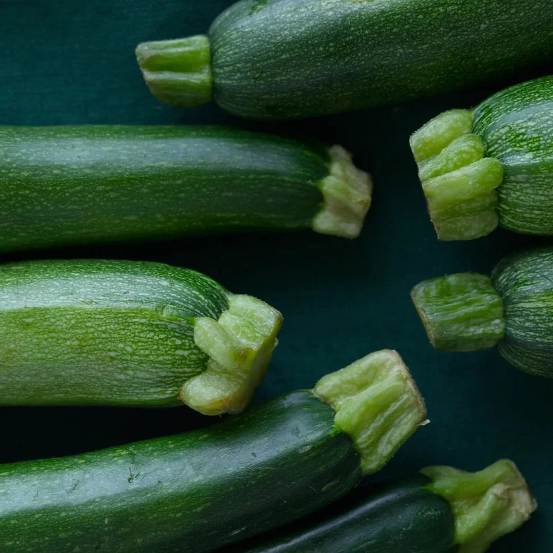 Premium Zucchini Plant Seeds – High Yield Green Summer Squash