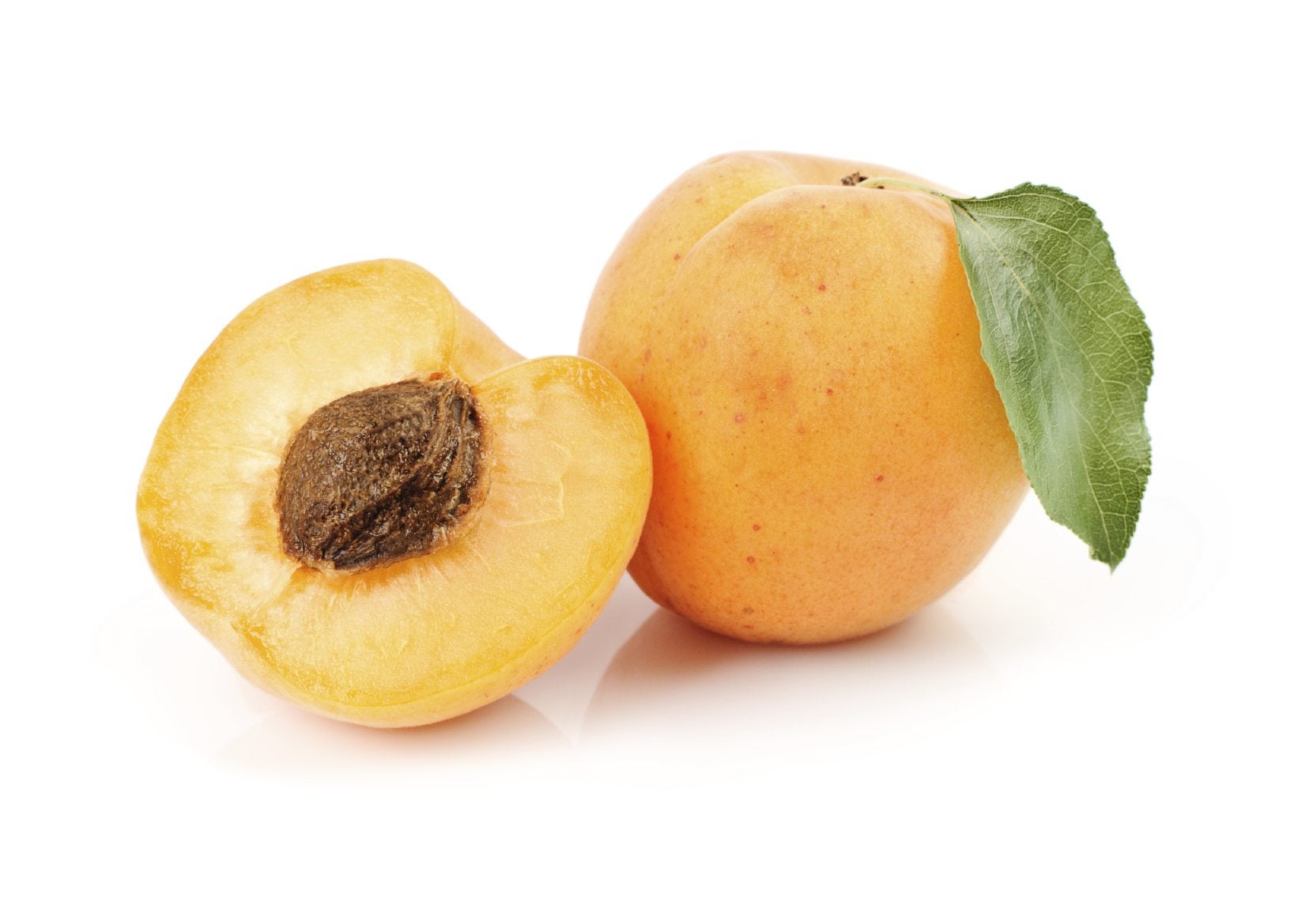 Home Garden Apricot Seeds for Easy Growing