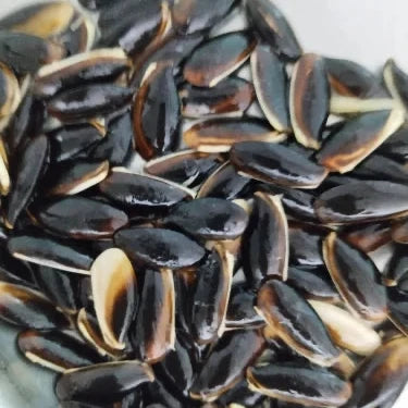 Sapota Tree Seeds – Organic Tropical Fruit for Terrace and Orchard Growing