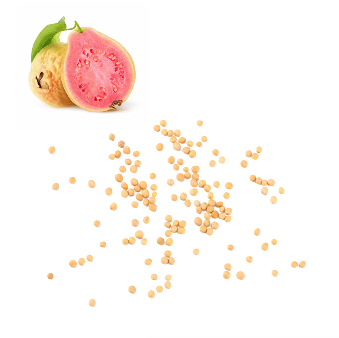 Heirloom Guava Seeds – Non-GMO Tropical Fruit for Backyard Gardens