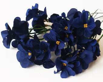 Navy Blue Mini Violet Flower Seeds for Planting Premium Quality Heirloom & GMO Free Seeds for Home Garden
 
 Sale