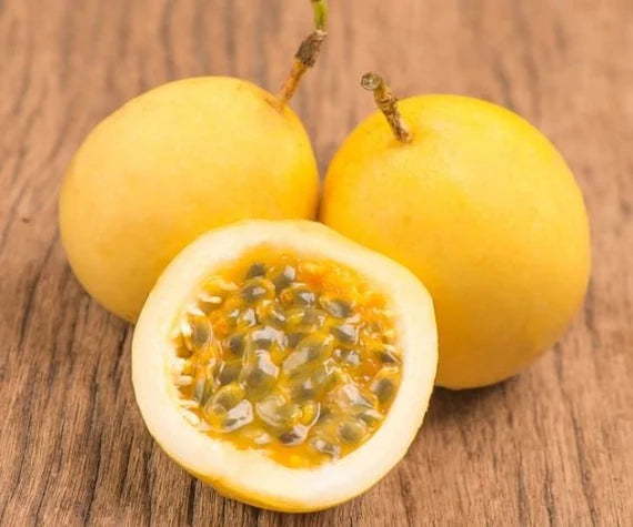 Sweet Granadilla (Passiflora ligularis) Yellow Passionfruit Fruit Seeds for Home Gardens, Containers & Outdoor Growing