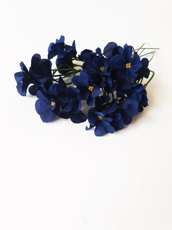 Navy Blue Mini Violet Flower Seeds for Planting Premium Quality Heirloom & GMO Free Seeds for Home Garden
 
 Sale