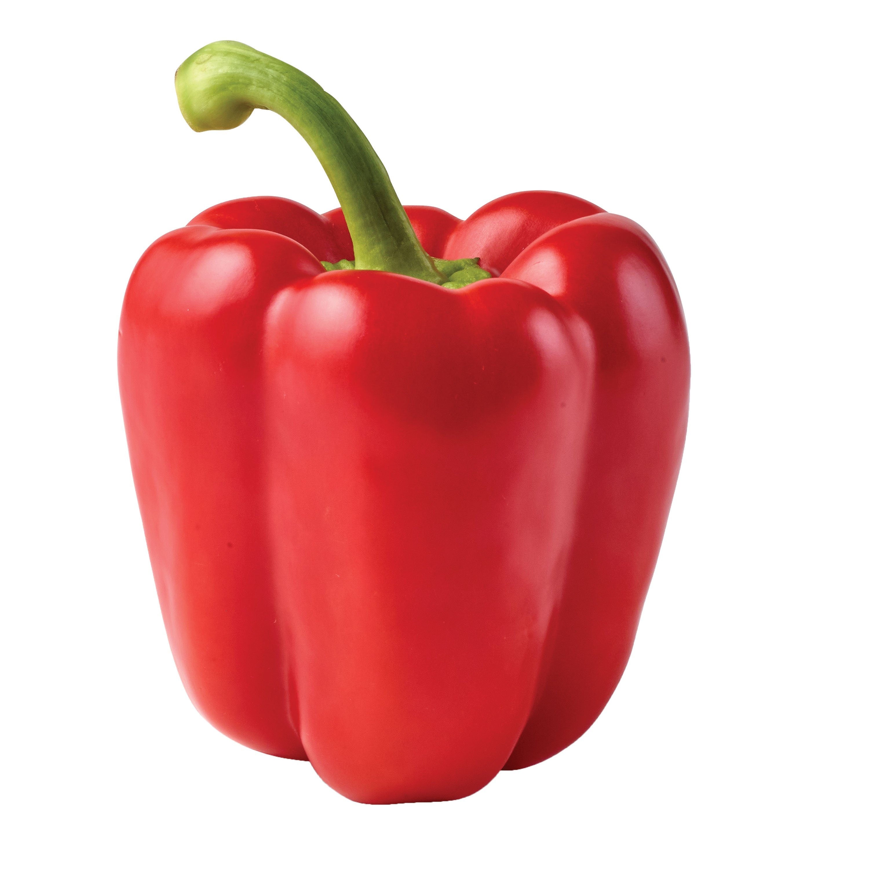YOLO WONDER PFEFFER Seeds for Sweet, Large Peppers