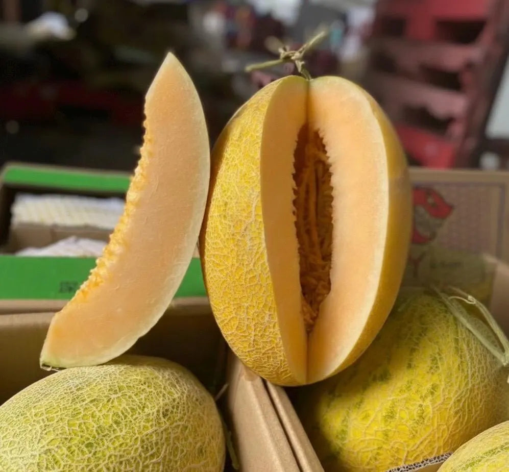 Hami Melon Seeds for Planting - Grow Sweet and Crisp Melons
