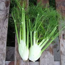 Green and White Florence Vegetable Planting Seeds
