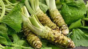 Horseradish Planting Seeds  Grow Your Own Spicy Root