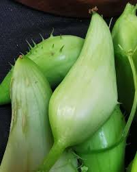 Cyclanthera Seeds for Easy Vegetable Planting