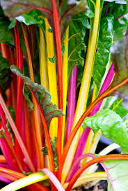 Swiss Chard Vegetable Seeds - Easy Planting