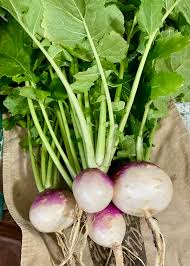 Rutabaga Seeds for Planting  Perfect for Your Vegetable Garden