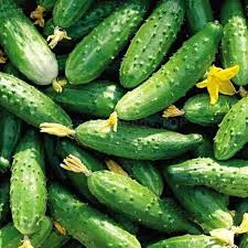 Octopus Cucumber Vegetable Seeds for Planting