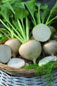 White Beet Vegetable Seeds for Easy Planting